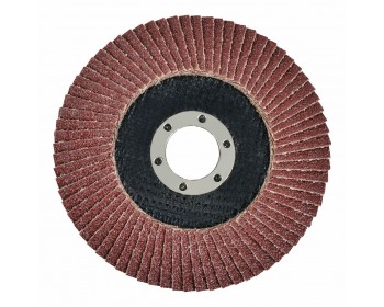 Flap Discs